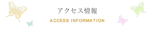 アクセス情報
